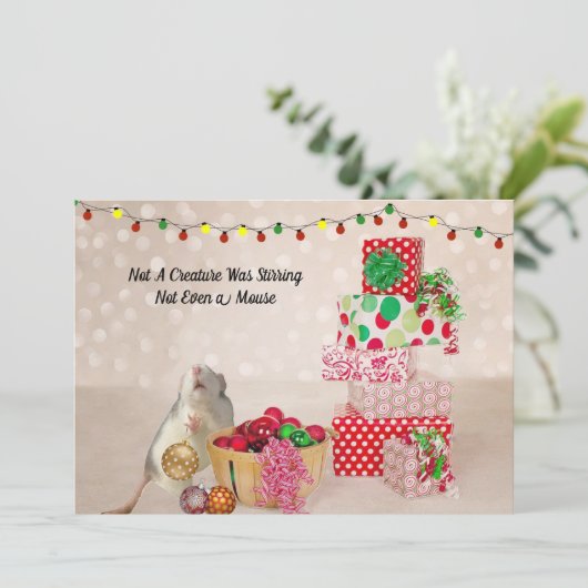 Schattigee rat decoreren voor kerst (Staand voorkant)