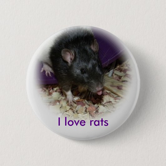 Schattigee rat steekt zijn tongspeld uit ronde button 5,7 cm (Voorkant)