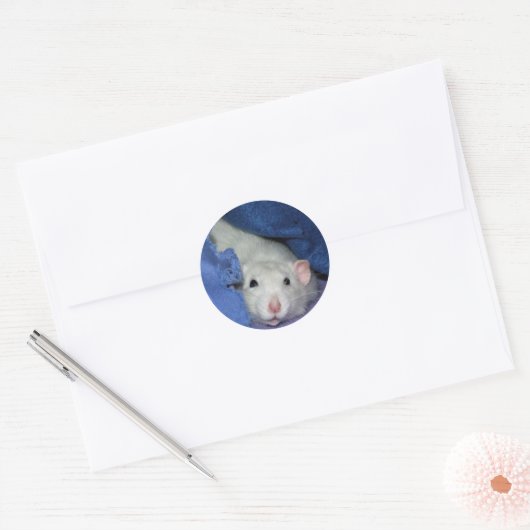 Schattigee rat Stickers (Envelop)