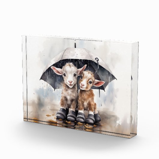 Schattigee regenachtige daggeiten fotoblokken (Rechts)