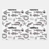 Schattigee Regenboog Vis & Zee Creature Tekeningen Inpakpapier Vel (Voorkant)