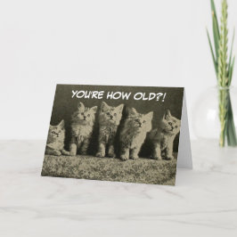 Schattigee  retro Kittens Happy Birthday Kaart