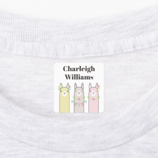 Schattigee Retro Kleurrijke Llamas Kleding Kindere Labels (Aangebracht)