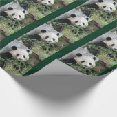 Schattigee reuzenpanda groen cadeaupapier (Hoek)