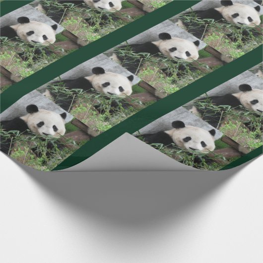 Schattigee reuzenpanda groen cadeaupapier (Hoek)