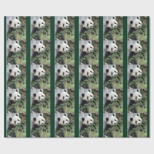 Schattigee reuzenpanda groen cadeaupapier (Vlak)