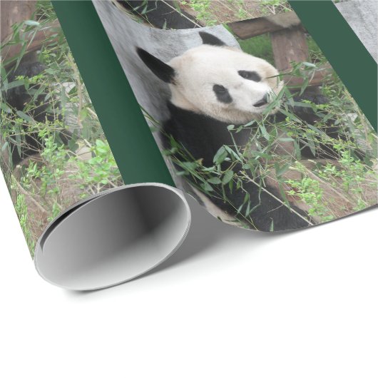 Schattigee reuzenpanda groen cadeaupapier (Rol Hoek)
