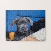 Schattigee riet corso puppy legpuzzel (Horizontaal)