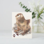 Schattigee River Otter, Dier en sporen, Natue Briefkaart (Staand voorkant)