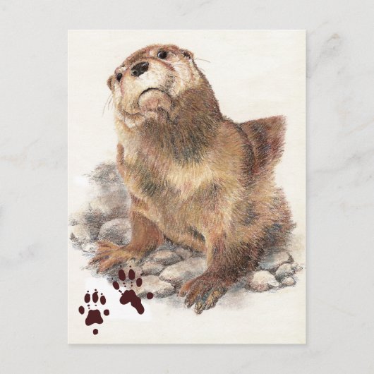 Schattigee River Otter, Dier en sporen, Natue Briefkaart (Voorkant)