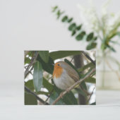 Schattigee Robin & Green Leaves DIY Briefkaart (Staand voorkant)