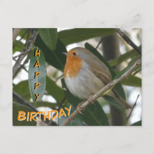 Schattigee Robin & Green verlaat Happy Birthday Br Briefkaart