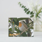 Schattigee Robin & Green verlaat Happy Birthday Br Briefkaart (Staand voorkant)