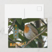 Schattigee Robin & Green verlaat Happy Birthday Br Briefkaart (Voorkant / Achterkant)