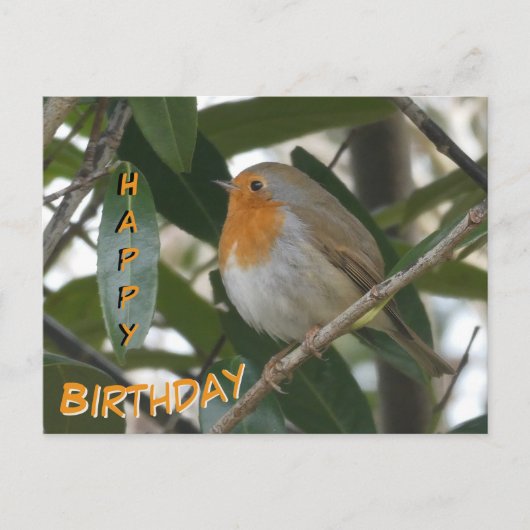 Schattigee Robin & Green verlaat Happy Birthday Br Briefkaart (Voorkant)