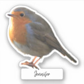 Schattigee Robin vogel gepersonaliseerd op maat sn Sticker (Voorkant)