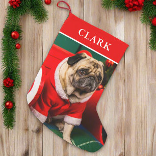 Schattigee Rode & Groene Hond Puppy Pet Fotonaam Kleine Kerstsok