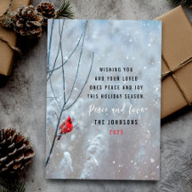 Schattigee rode kardinaal en sneeuwkerst