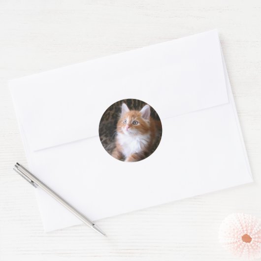 Schattigee rode kitten stickers (Envelop)