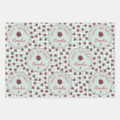 Schattigee rode lieveheersbeestje gepersonaliseerd inpakpapier vel (Voorkant)