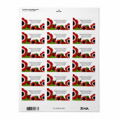 SCHATTIGEE rode lieveheersbeestjes retour adreslab Etiket (Full Sheet)