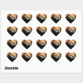 Schattigee rode Panda Beer Stickers (Vel)