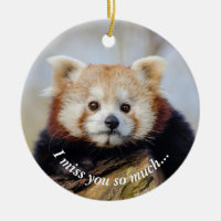 Schattigee rode panda mis je zo erg