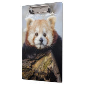 Schattigee rode panda mis je zo erg klembord (Links)