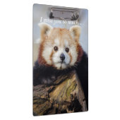 Schattigee rode panda mis je zo erg klembord (Rechts)