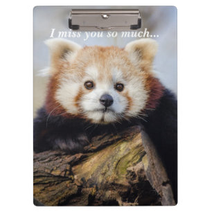 Schattigee rode panda mis je zo erg klembord