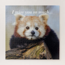 Schattigee rode panda mis je zo erg