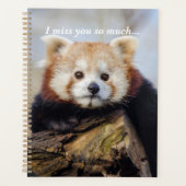 Schattigee rode panda mis je zo erg planner (Voorkant)