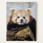Schattigee rode panda mis je zo erg planner (Achterkant)