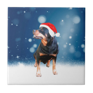 Schattigee Rottweiler Dog Christmas Santa Hat Snee Tegeltje