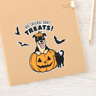 Schattigee Rottweiler Dog Halloween met Black Cat Sticker