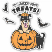 Schattigee Rottweiler Dog Halloween met Black Cat Sticker (Voorkant)