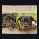 Schattigee Rottweiler Puppies Dog Animal Natuur Puzzel<br><div class="desc">Deze schattige puzzels beschikken over twee Rottweiler puppies die door een rustieke poort kijken. #rottweiler #jigsawpuzzle #stockingstuffers #games #landscape #gifts #puppy #dog #cute #puzzle #jigsaw #stockingstuffers</div>