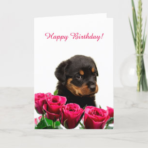 Schattigee Rottweiler Puppy Red Roses Happy Birthd Kaart