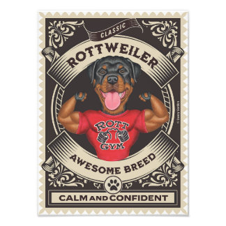 Schattigee Rottweiler Rottie met Spieren Foto Afdruk
