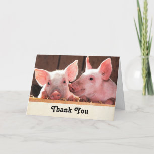 Schattigee roze biggen dierenfoto bedankkaart