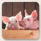 Schattigee roze biggen dierenfoto bier onderzetter (Voorkant)