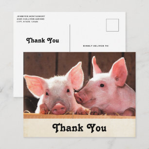 Schattigee roze biggen dierenfoto dank u briefkaart