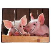 Schattigee roze biggen dierenfoto groot cadeauzakje (Voorkant)