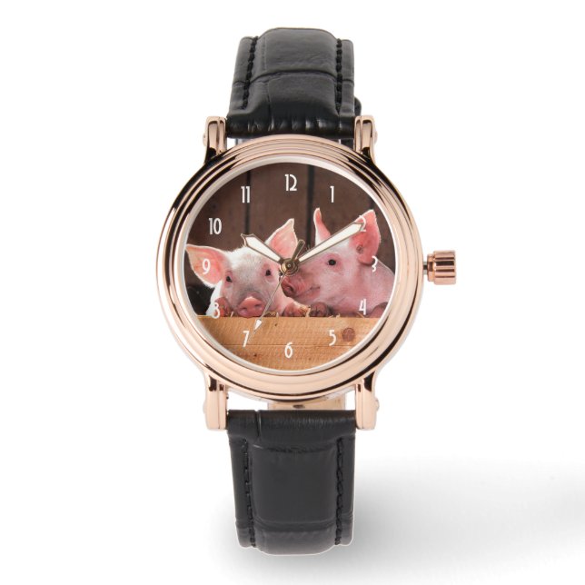 Schattigee roze biggen dierenfoto horloge (Voorkant)