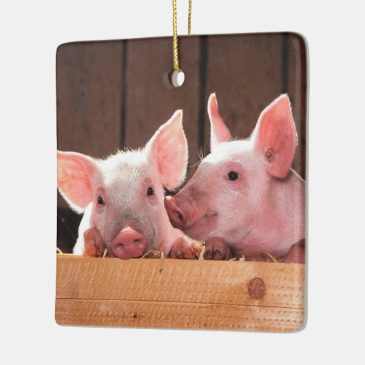 Schattigee roze biggen dierenfoto keramisch ornament (Links)