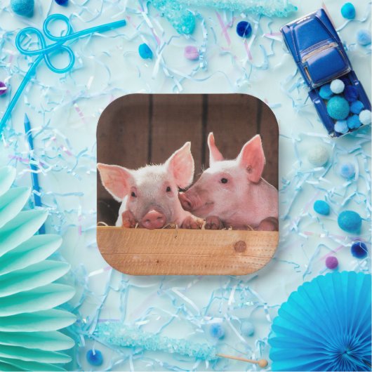 Schattigee roze biggen dierenfoto papieren bordje (Feest)