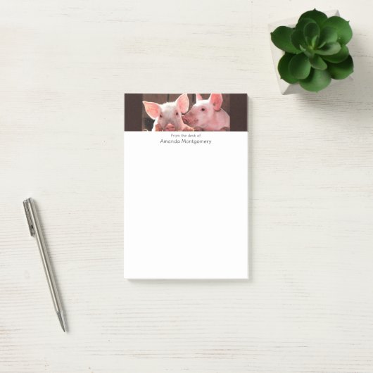 Schattigee roze biggen dierenfoto post-it® notes (Kantoor)