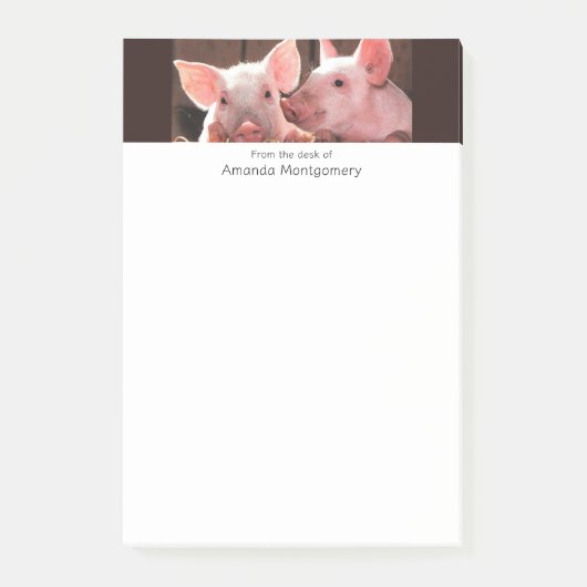 Schattigee roze biggen dierenfoto post-it® notes (Voorkant)