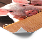Schattigee roze biggen dierenfoto poster (Hoek)