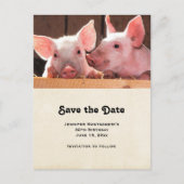 Schattigee Roze Biggen Dierenfoto Save the Date Uitnodiging Briefkaart (Voorkant)